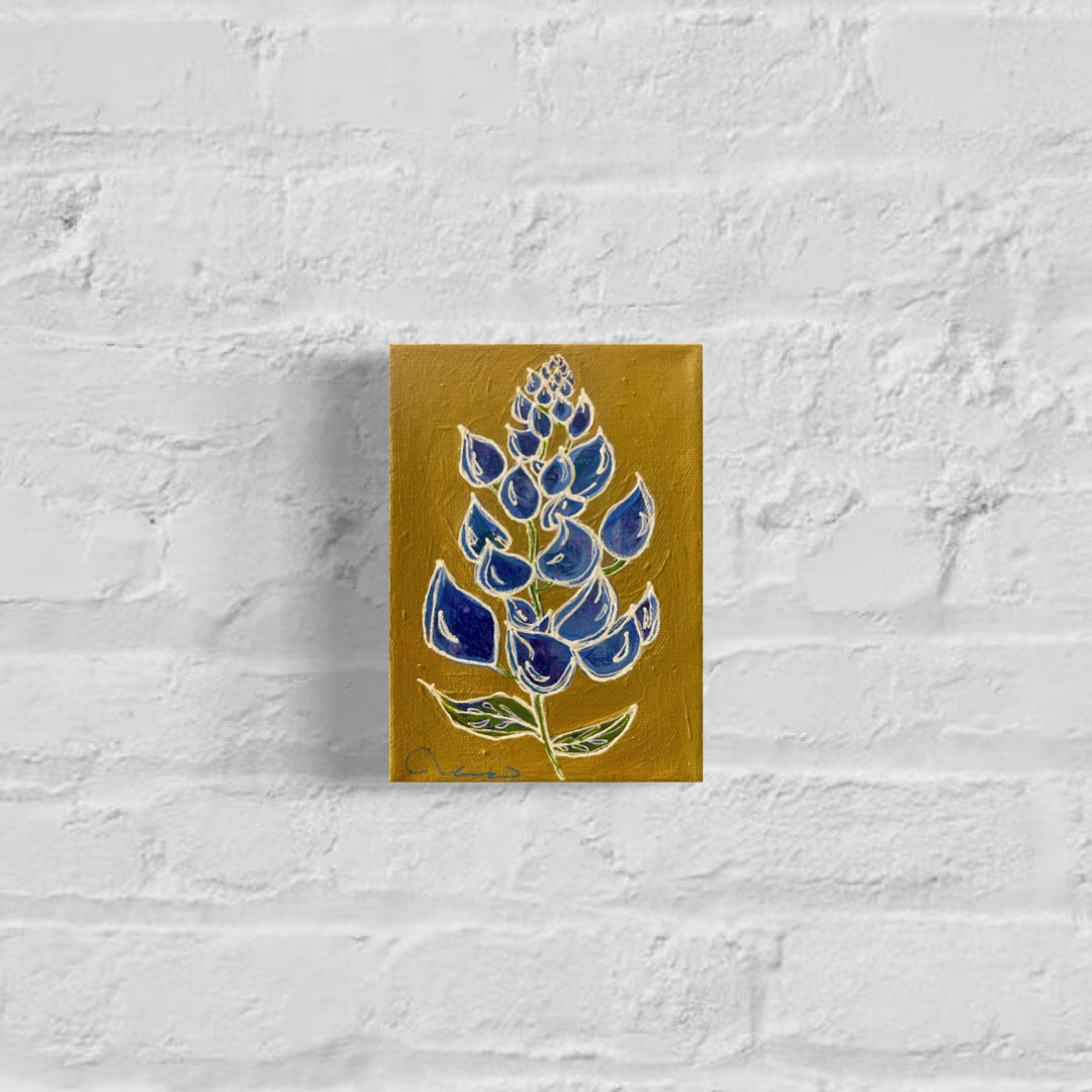 Blue Bonnet Ocre