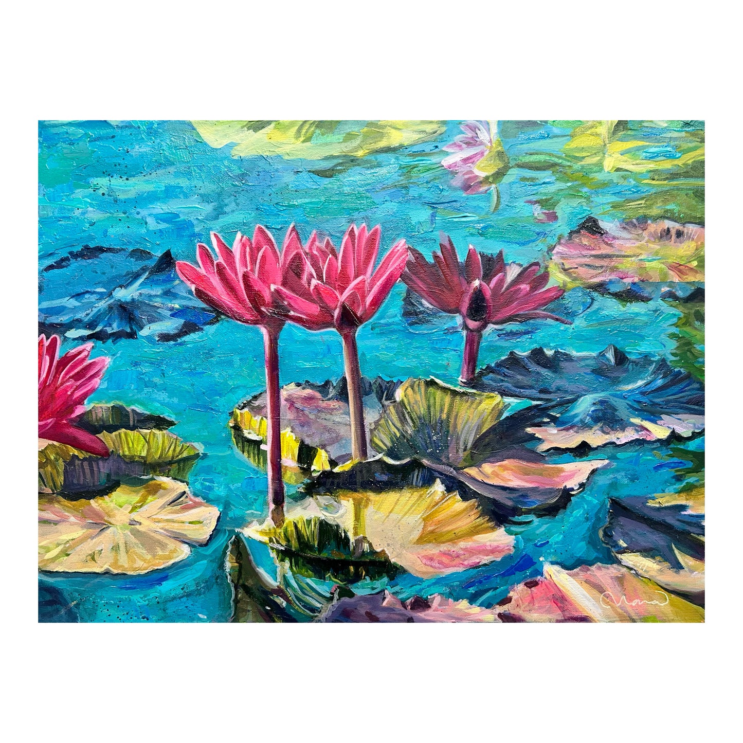 Water Garden Blooming