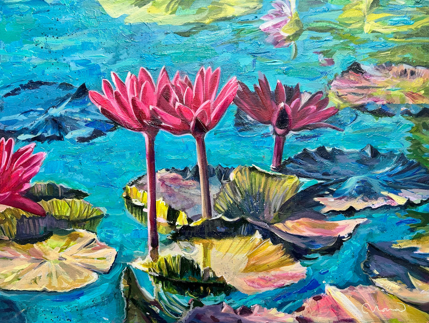 Water Garden Blooming