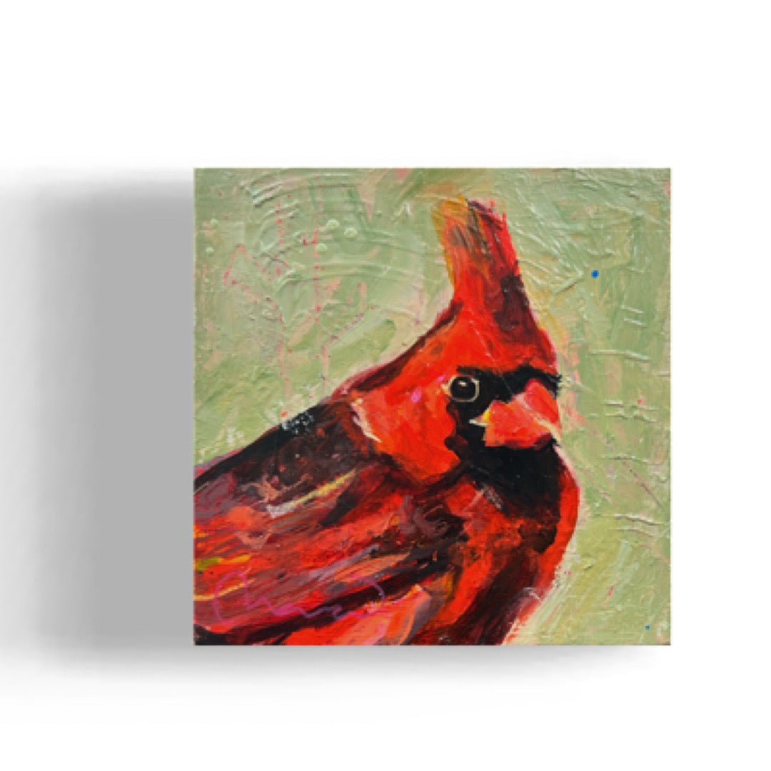 Cardinal original painting 6x6 in