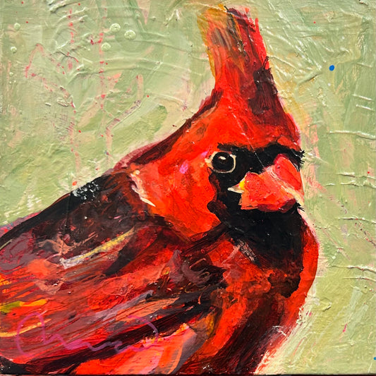 Cardinal original painting 6x6 in