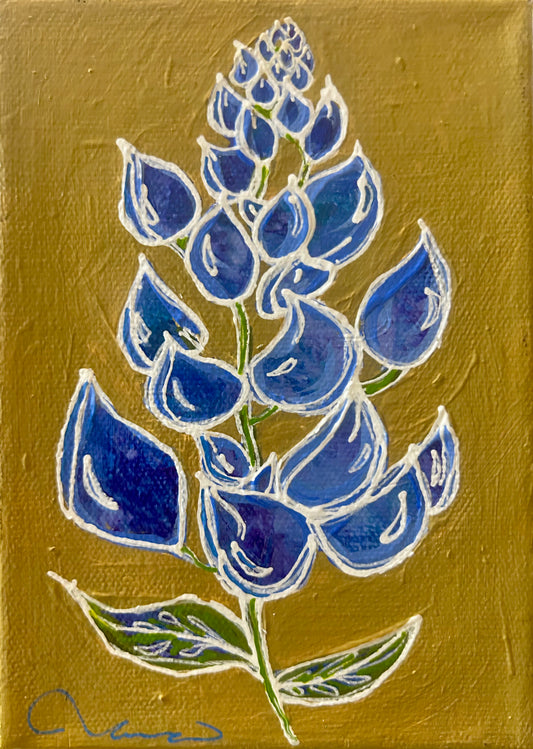 Blue Bonnet Ocre