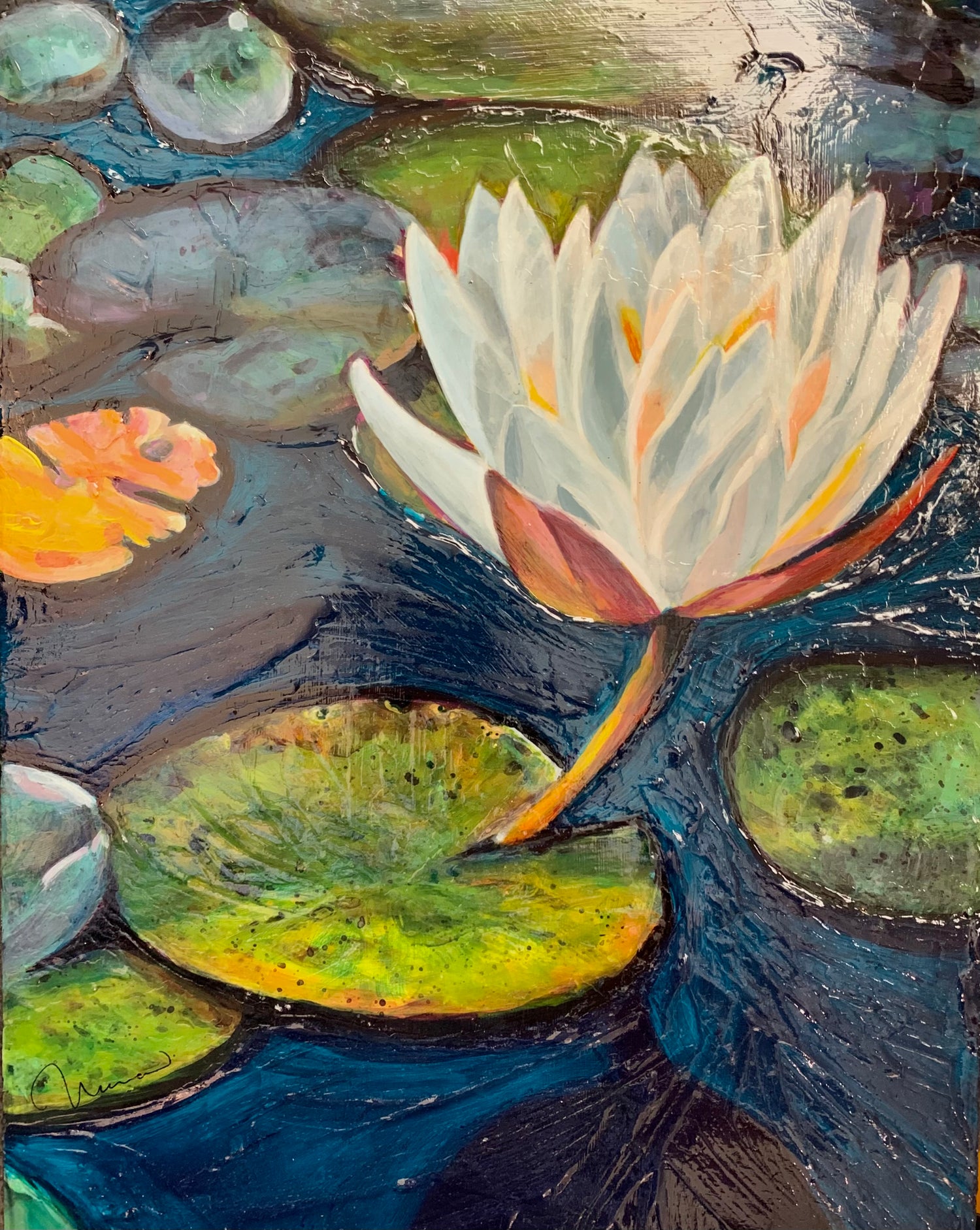 Waterlily in a pond.